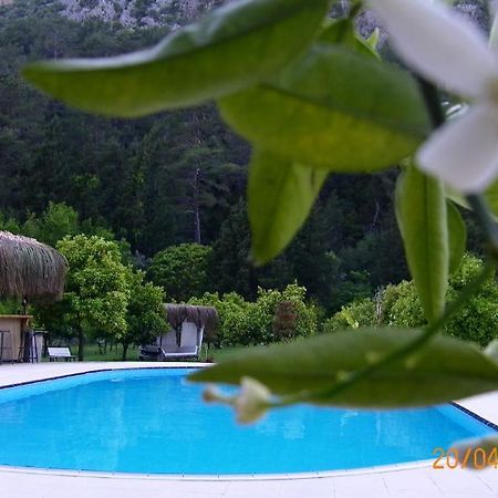 Portalimo Lodge Hotel - Adult Only +12 Çıralı Esterno foto