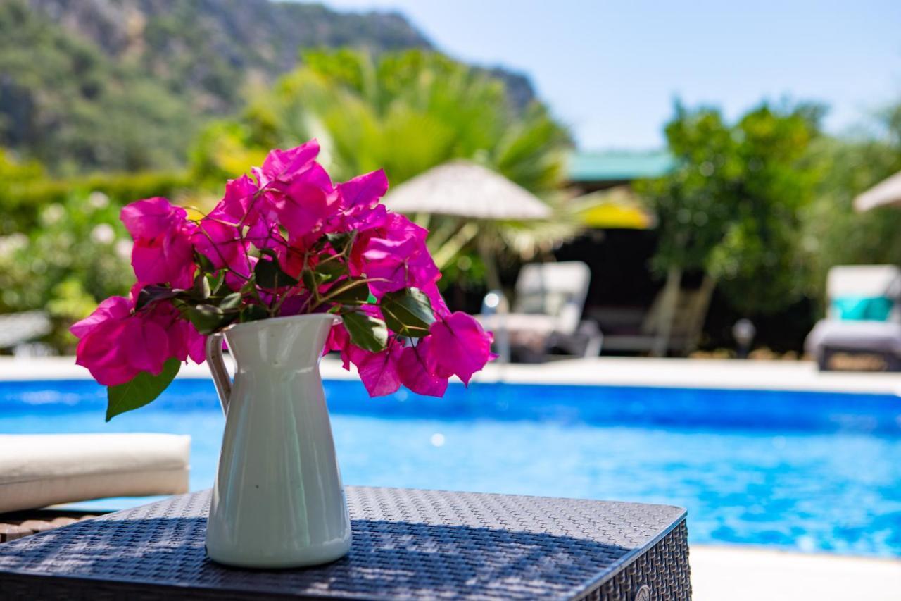 Portalimo Lodge Hotel - Adult Only +12 Çıralı Esterno foto