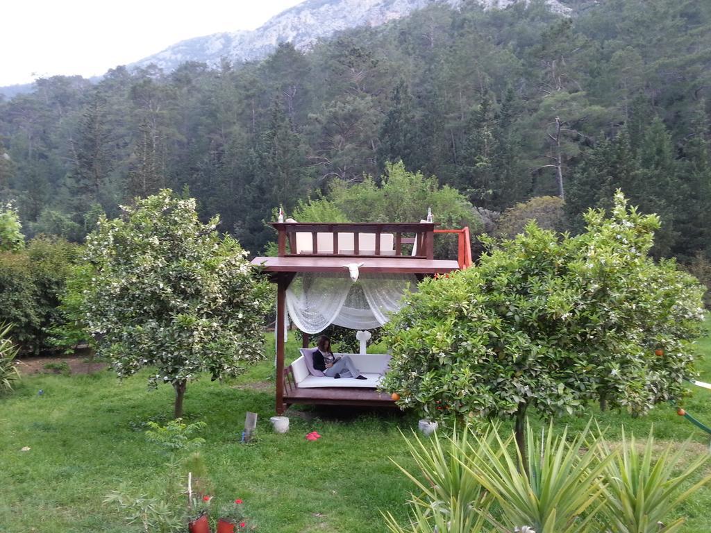 Portalimo Lodge Hotel - Adult Only +12 Çıralı Esterno foto