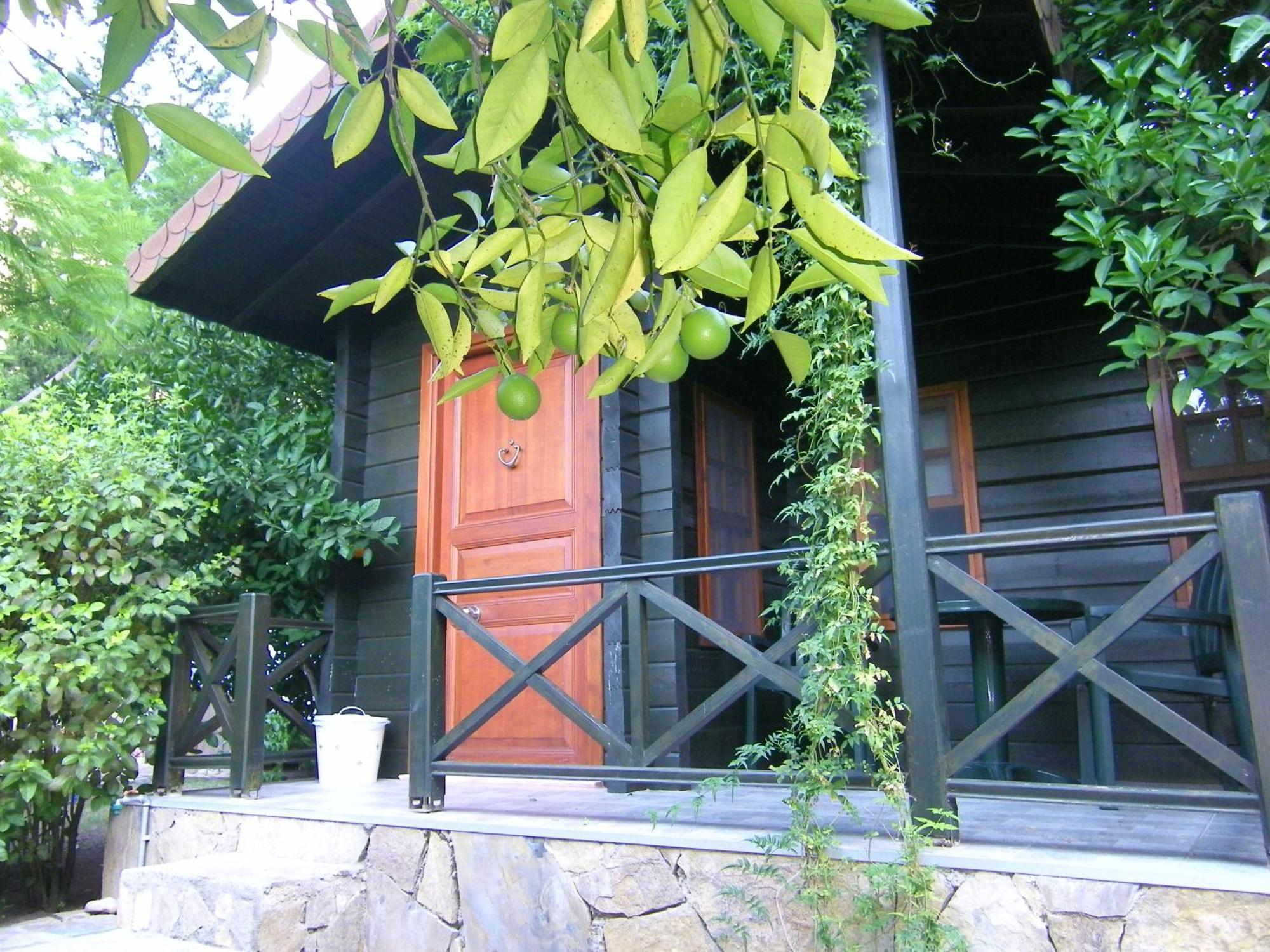 Portalimo Lodge Hotel - Adult Only +12 Çıralı Esterno foto
