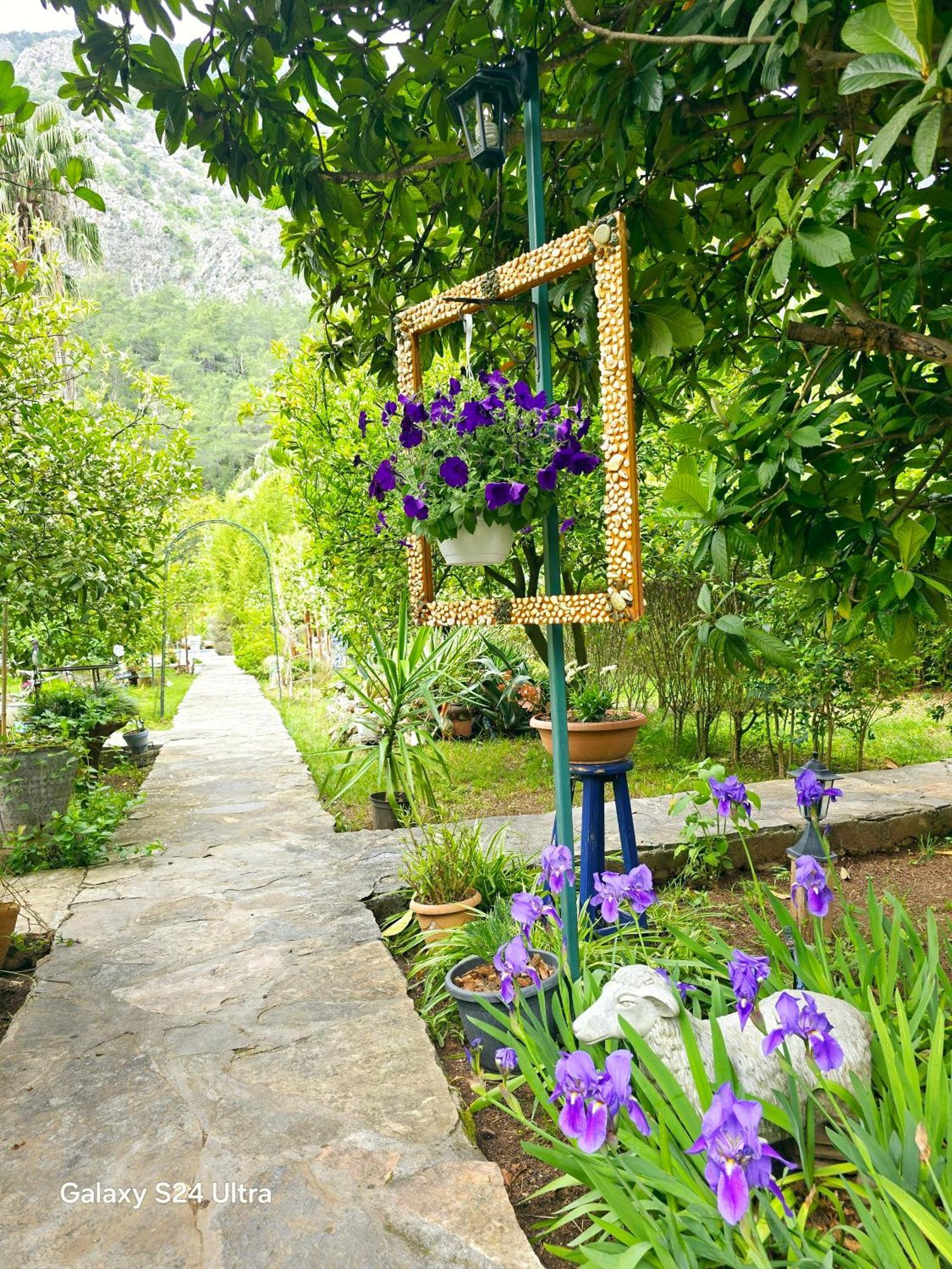 Portalimo Lodge Hotel - Adult Only +12 Çıralı Esterno foto