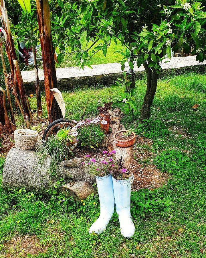 Portalimo Lodge Hotel - Adult Only +12 Çıralı Esterno foto